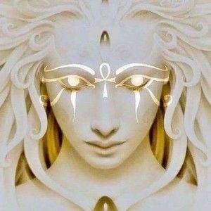 Meet your Posher, Leida